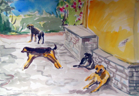 stray dogs  olympiada lowres.jpg